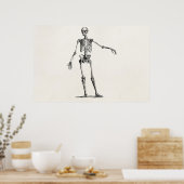  1800s Skelet Retro Anatomy Skeletons Poster (Keuken)