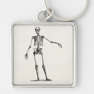  1800s Skelet Retro Anatomy Skeletons Sleutelhanger