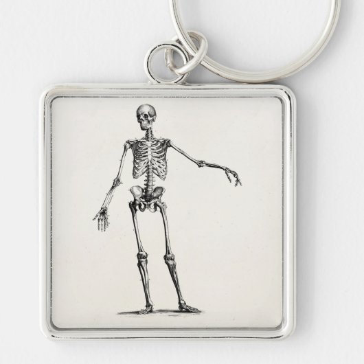 1800s Skelet Retro Anatomy Skeletons Sleutelhanger (Voorkant)