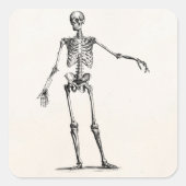  1800s Skelet Retro Anatomy Skeletons Vierkante Sticker (Voorkant)