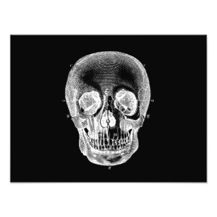  1800s Skull Retro Anatomical Black White Foto Afdruk