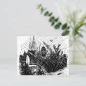 1800s Spider Web Illustration - Spiders Briefkaart (Staand voorkant)