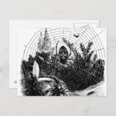 1800s Spider Web Illustration - Spiders Briefkaart (Voorkant / Achterkant)