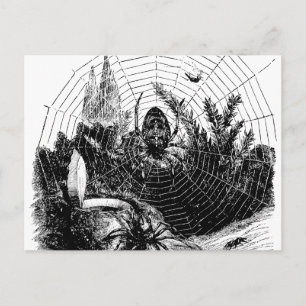 1800s Spider Web Illustration - Spiders Briefkaart