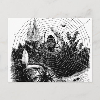  1800s Spider Web Illustration - Spiders Briefkaart