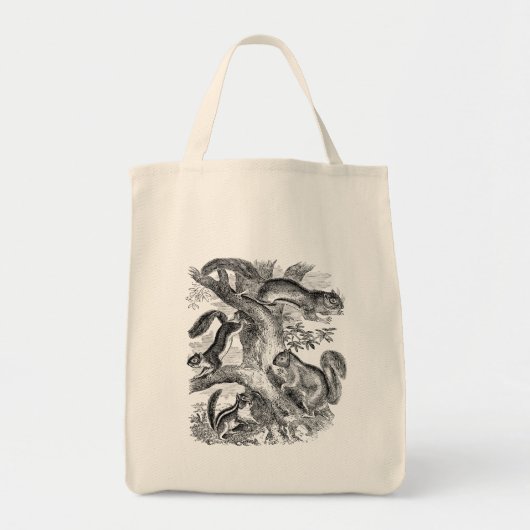  1800s Squirrel Illustratie - Eekhoorns Tote Bag (Voorkant)