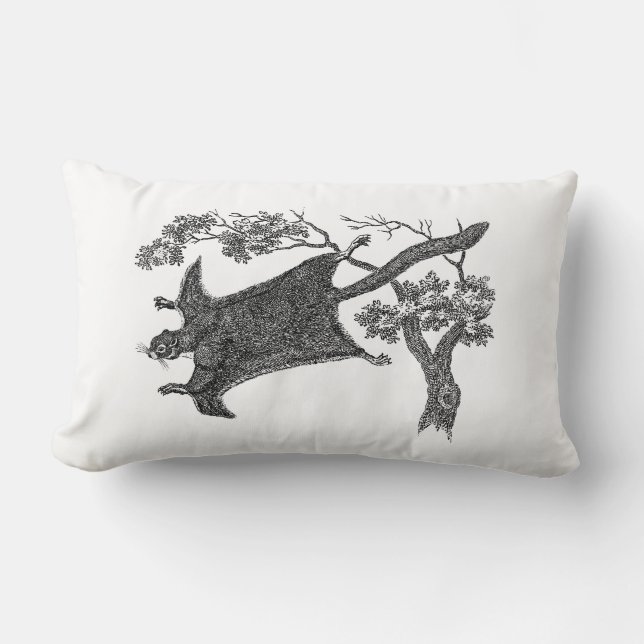  1800s vliegende eekhoorn - suikerzweefvliegtuig kussen (Voorkant)