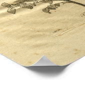 1817 Theeboom kurpeper - Kruidenafdruk Poster (Hoek)