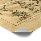 1817 Wormwood Yucca Culpeper Herbal Print (Hoek)