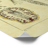  1820 Nerves Anatomy Art Print (Hoek)