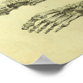 1824 Anatomie Botten voor menselijke voet Afdrukke Poster (Hoek)