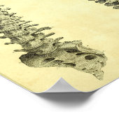 1824 Anatomie van de menselijke wervelkolom Poster (Hoek)