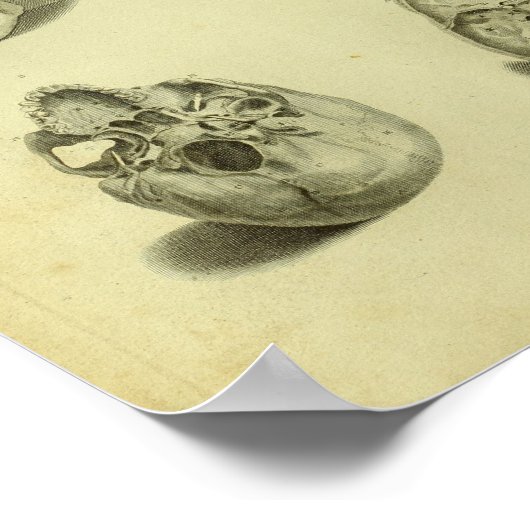 1824 Huisvesting Anatomy Print (Hoek)