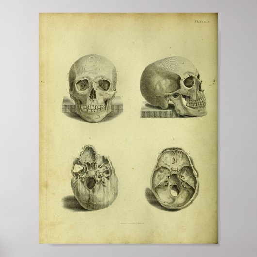 1824 Huisvesting Anatomy Print (Voorkant)