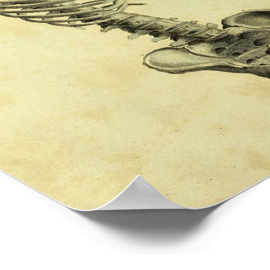 1824 Humaan Skelet Anatomy Print (Hoek)