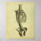 1824 Humaan Skelet Anatomy Print (Voorkant)