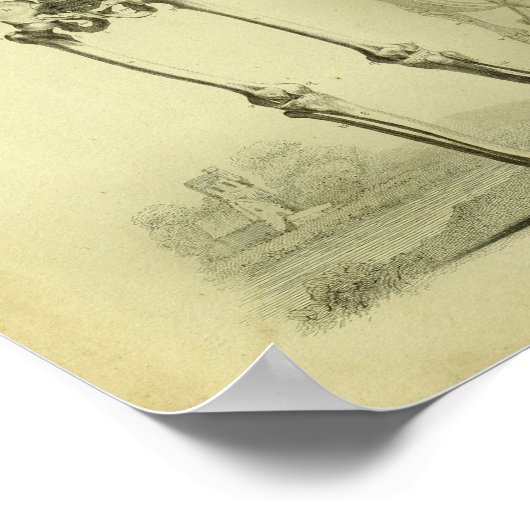 1824 Skelet Anatomie van mensen en paarden Poster (Hoek)