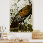 1825  Wild Turkey door John Audubon Poster (Keuken)