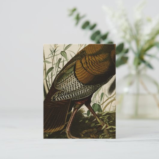 1825  Wilde Turkije Briefkaart (Staand voorkant)