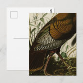 1825  Wilde Turkije Briefkaart (Voorkant / Achterkant)