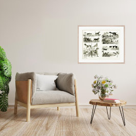 1830 Hondenrassen - Archiefafdrukken Poster