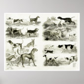 1830 Hondenrassen - Archiefafdrukken Poster (Voorkant)
