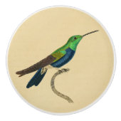  1830 Hummingbird Drab-knop Keramische Knop (Voorkant)