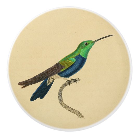  1830 Hummingbird Drab-knop Keramische Knop (Voorkant)