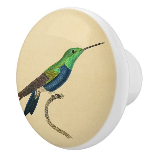  1830 Hummingbird Drab-knop Keramische Knop (Rechts)