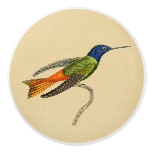  1830 Hummingbird Drab-knop Keramische Knop (Voorkant)