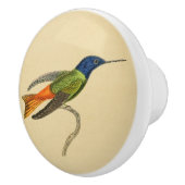  1830 Hummingbird Drab-knop Keramische Knop (Rechts)