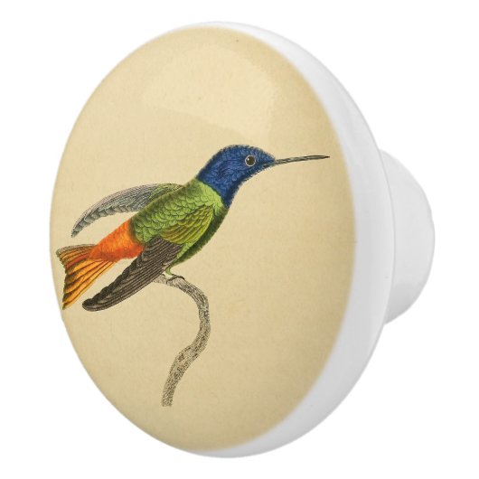 1830 Hummingbird Drab-knop Keramische Knop (Rechts)