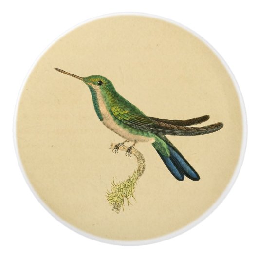 1830 Hummingbird Drab-knop Keramische Knop (Voorkant)