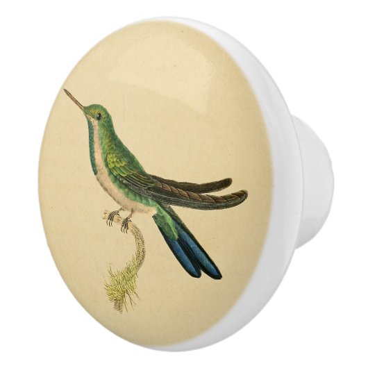  1830 Hummingbird Drab-knop Keramische Knop (Rechts)