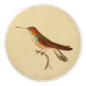 1830 Hummingbird Drab-knop Keramische Knop (Voorkant)