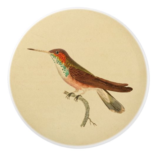  1830 Hummingbird Drab-knop Keramische Knop (Voorkant)