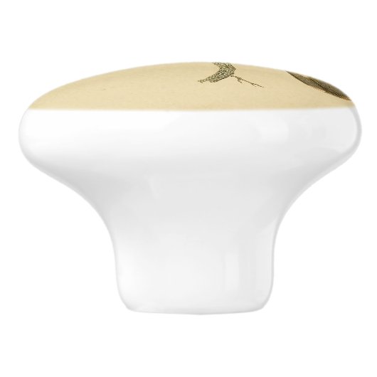 1830 Hummingbird Drab-knop Keramische Knop (Zijkant)