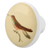  1830 Hummingbird Drab-knop Keramische Knop (Rechts)