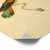 1830 Hummingbird Print (Hoek)