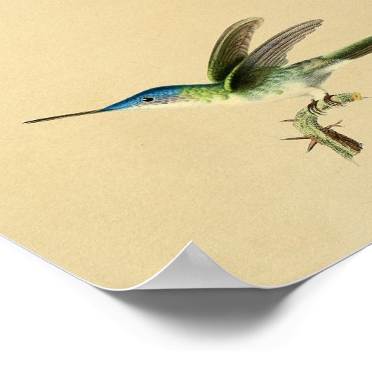  1830 Hummingbird Print Blue Green (Hoek)