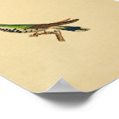  1830 Hummingbird Print Blue Green (Hoek)