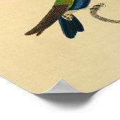 1830 Hummingbird Print Blue Green (Hoek)