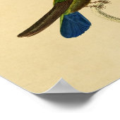  1830 Hummingbird Print Blue Green (Hoek)
