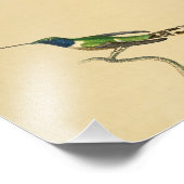  1830 Hummingbird Print Blue Green Foto Afdruk (Hoek)