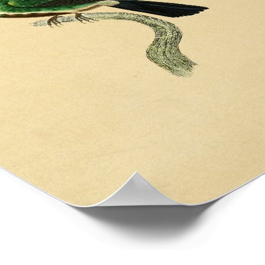  1830 Hummingbird Print Green (Hoek)