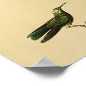  1830 Hummingbird Print Green (Hoek)