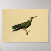  1830 Hummingbird Print Green (Voorkant)