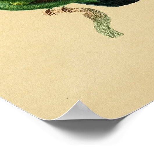 1830 Hummingbird Print Green Black (Hoek)