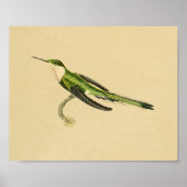  1830 Hummingbird Print Green Black (Voorkant)