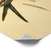  1830 Hummingbird Print Green Blue (Hoek)